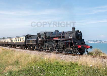 Purchase photo of 75014 BRAVEHEART at Dartmouth Steam Railway